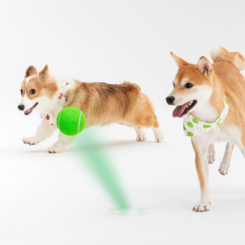 3-Pack Tennis Ball Dog Toys with Squeaker, Interactive Fetch Play for Pets 40 lbs and Over ，Training Balls for Indoor & Outdoor Exercise, 3.28-inch (Green, 18PCS)