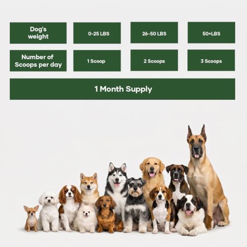 NutriFlo Dog Vitamins & Supplements – 10-in-1 Dog Multivitamin for Gut Health, Hip & Joint, Immune Support, Skin & Coat, Dental Health & Longevity | Daily Dog Supplement for All Breeds (Pack of 2)