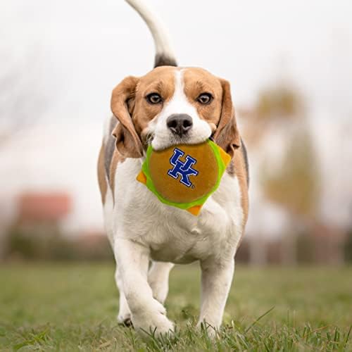 NCAA KENTUCKY WILDCATS CHEESE BURGER PLUSH DOG & CAT SQUEAK TOY - Cutest STADIUM HAMBERGER SNACK Plush Toy for DOGS & CATS with INNER SQUEAKER & Beautiful Football/Basketball Team Name/Logo
