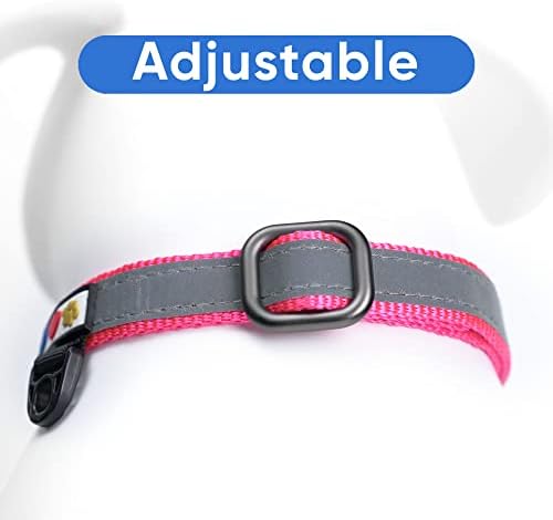 Pawtitas Personalized Dog Collar Martingale Dog Collar with Name Phone Number Reflective Martingale Dog Collar Customized Collar for Large Dogs | Pink Custom Dog Collars for Large Dogs