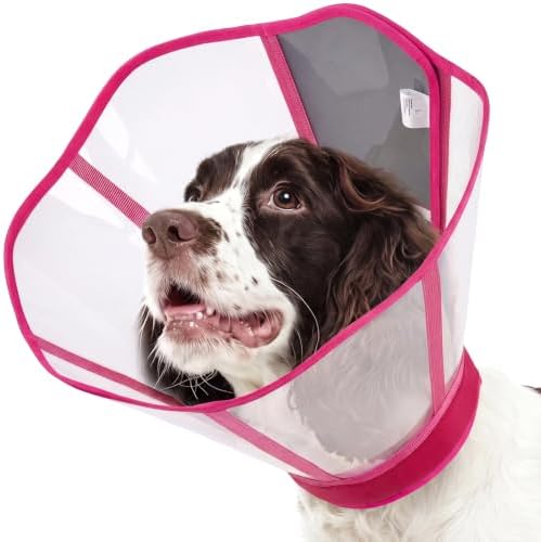 Dog Cone Collar After Surgery, Clear Recovery Collar to Stop Licking
