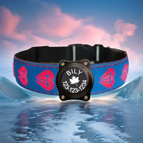 Personalized Dog Collar Waterproof airtag Dog tag Holder,USB C Light up Night Black Dog Collar (Blue, M(11.8-15.7"))