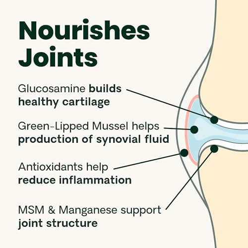 VetriScience Extra Strength Healthy Hip & Joint-Chews, GlycoFlex Glucosamine & Green-Lipped Mussel Joint Support Supplement for Small Breed Dogs,Soothe Joint Discomfort,Chicken 60 Count(Pack of 2)