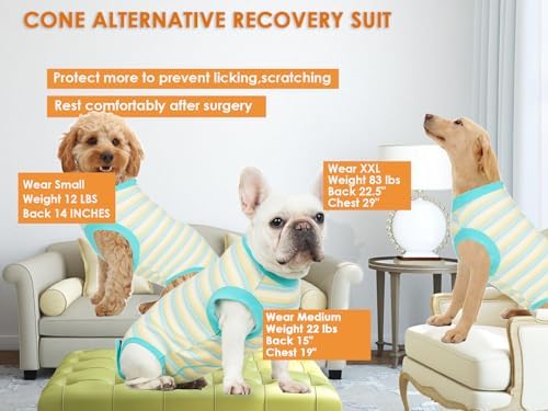 Recovery Suit for Female Dogs, Dog Cone Alternative After Spay