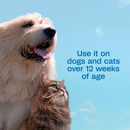ADAMS Plus Pyrethrin Flea Dip For Dogs and Cats, Kills & Repels Ticks, Lice, Gnats, Mosquitoes, Fleas & Flies, For dogs, cats, puppies, and kittens, 4 Fl oz