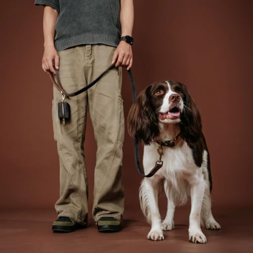 Didog PU Leather Dog Poop Bag Holder, Easy-Pull with Metal Clip, Black