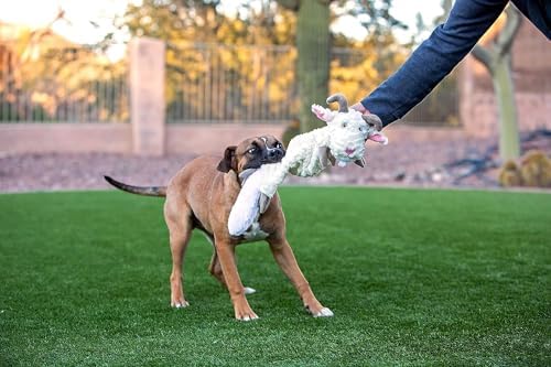 Jolly Pets Fat Tail Horse Plush Squeaky Dog Toy, Large