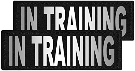 Dogline in Training Vest Patches – Removable in Training Patch 2-Pack with Reflective Printed Letters for Support Dog Vest Harness Collar or Leash C (2" x 6")