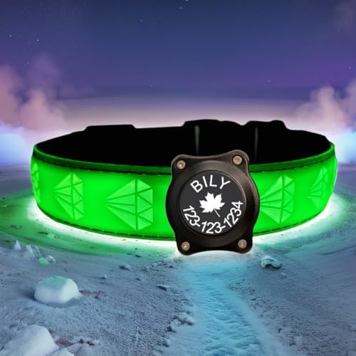 Personalized Dog Collar Waterproof airtag Dog tag Holder,USB C Light up Night Black Dog Collar (Green, XL(19.7-23.6"))