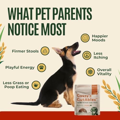 Pork GutAbles Organic Human Grade Ingredients for A Healthy Dog