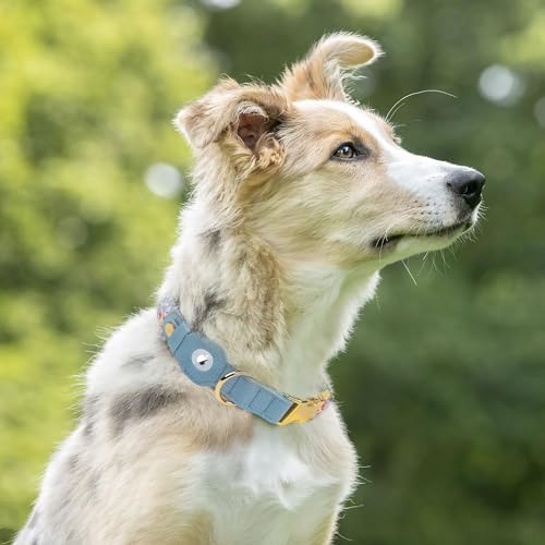 AirTag Dog Collar for Small Medium Large Breed - Adjustable Cute Pattern Dog Collar with Airtag Holder - Soft Leather Tracker GPS Apple Air Tag Pet Collars (Large, 17"-21" Neck Fit, Floral)