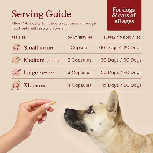 Fera Pets Heart Supplement - Taurine for Dogs & Cats, 120 Capsules