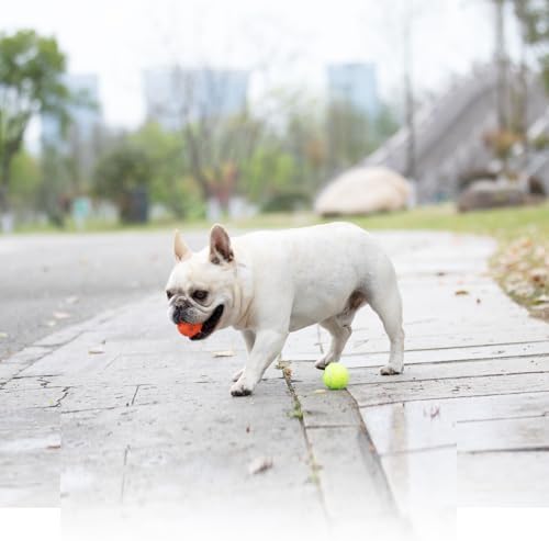 Dog Toy Balls for Small Dogs & Puppies, Chew & Chase Interactive 2” Soft Latex Balls, Durable Dogs Play Balls for Indoor/Outdoor (9 Pcs)
