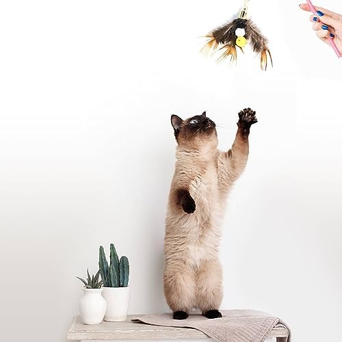 Cat Insect Feather Toys - Cat Wand and 6 Natural Insect Feathers Refill, Interactive Teaser with Bell