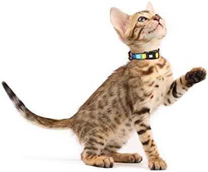 Max & Molly Fun & Whimsy Cat Collar w/Jingle Bell, Breakaway Safety Buckle, Adjustable Sizing & Smart ID Personalized Tag for Girl or Boy Cats/Kittens, Vintage Green Chevron