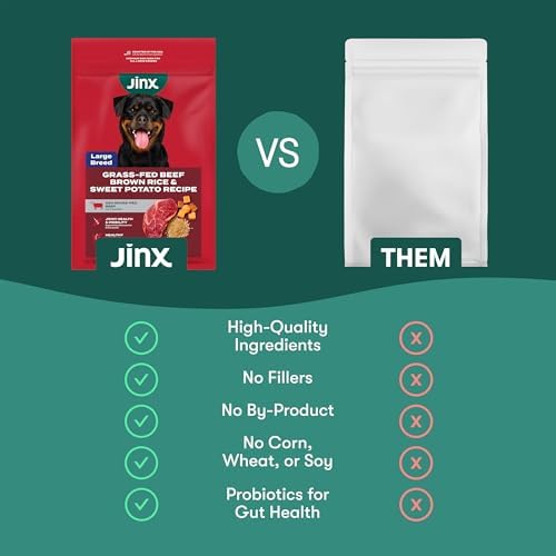 Jinx Dry Dog Food, Large Breed - Beef, Brown Rice & Sweet Potato, 11.5lb