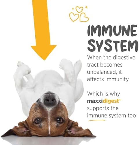 maxxipaws maxxidigest+ Dog Probiotics & Prebiotic Powder for Gut Health 7oz