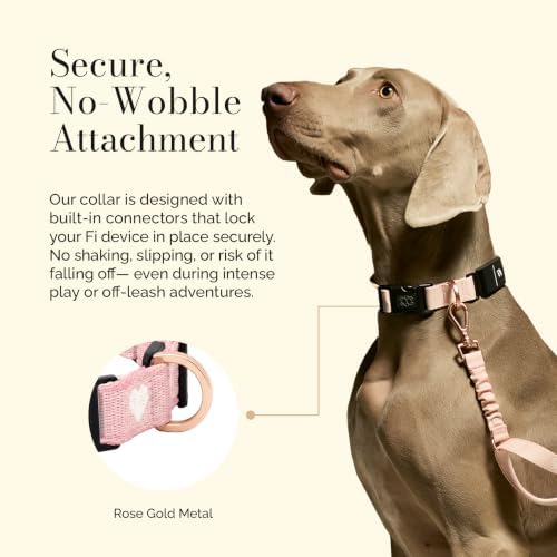 DOGISTRY - Fi Sweetheart Collar - GPS Dog Collar Band - Medium