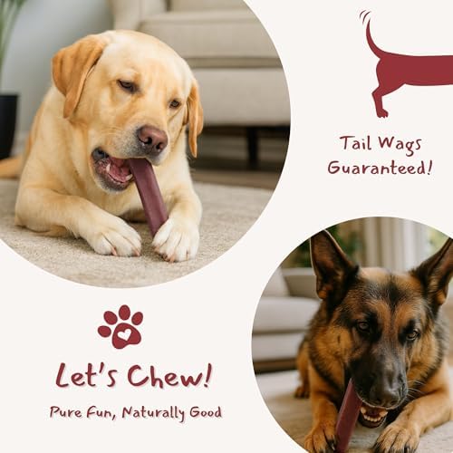 Majestic Pet Himalayan All-Natural Cheese Dog Chews - Long Lasting Dental Chew for Dogs - Healthy Pet Treats with Beneficial Ingredients (Urinary Tract Wellness, Regular, 20 Pack)