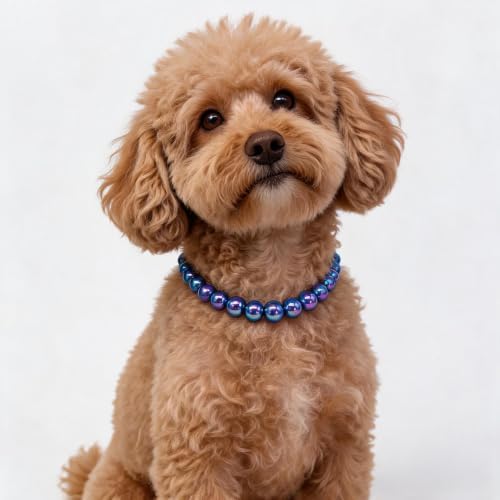 Big Pearl Dog Collar,Strong Stainless Steel Wire Rope