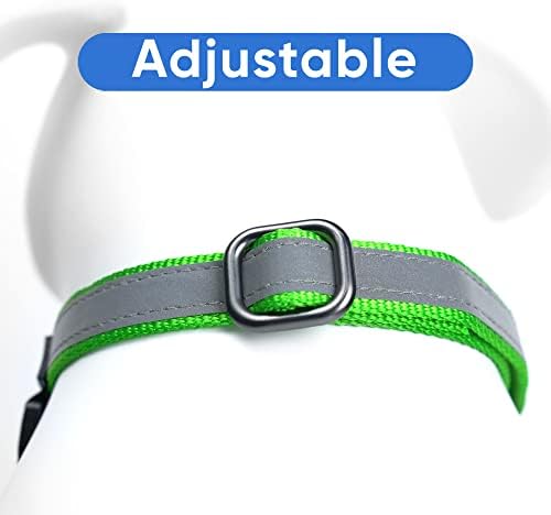 Pawtitas Personalized Dog Collar Martingale Dog Collar with Name Phone Number Reflective Martingale Dog Collar Customized Collar for Large Dogs | Green Custom Dog Collars for Large Dogs