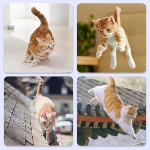 Gate for Cats Indoor Retractable Safety Mesh Barrier