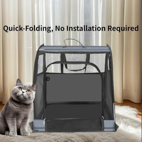 Collapsible Dog Crate Compatible with Smart fortwo/Brabus fortwo C451