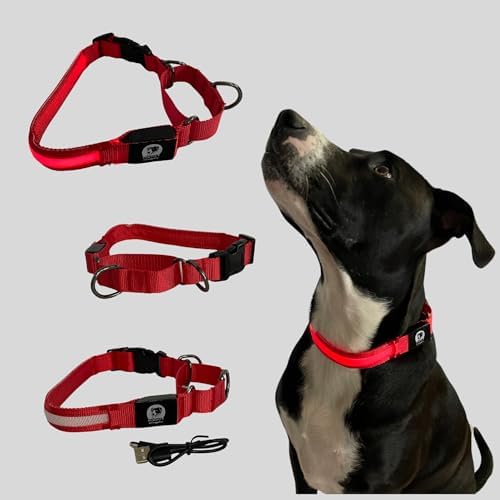 Light-Up Martingale Training Adjustable Dog Puppy Collar - REMIPET - Waterproof, LED Illuminated, USB Rechargeable, Reflective Safety, Durable, Nylon, Gift (Red, Medium)