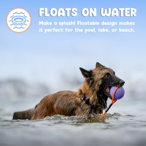 Dog Ball Toy with Rope, Durable EVA Foam Floating Dog Toy, Interactive Fetch & Toss n’ Train Tug Ball for Dogs, Bouncy Pet Ball for Outdoor Indoor Play - Purple, Large