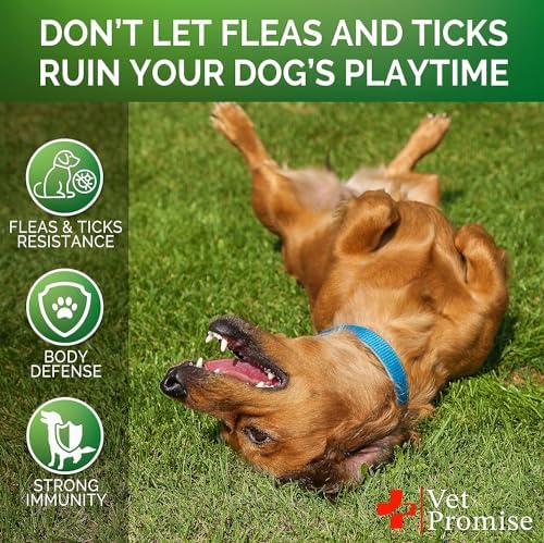 (2 Pack) Flea and Tick Prevention for Dogs Chewables - 240 Ct - Oral Pills