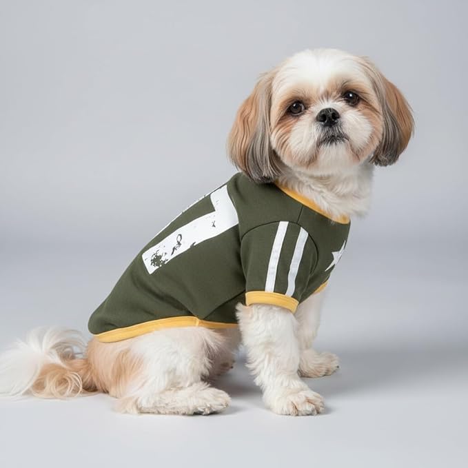 3-Pack Sweater for Small Dogs, Soft Sweatshirt for Boy & Girl Dog, Stretchy Pajamas & Sporty Jersey for Male & Female Puppy, Fall Outfit Costume for Cat, Winter Fleece Vest and Shirt, Size S