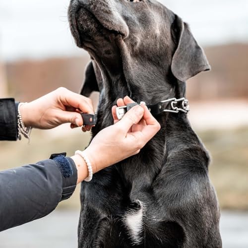 Herm Sprenger Prong Collar for Dog Training with Easy Quick Release Cliclock & Swivel Ring- German Made Dog Collar with Chrome Plated Stainless Steel 4mm Prongs for X-Large Dogs (25-30" Neck)