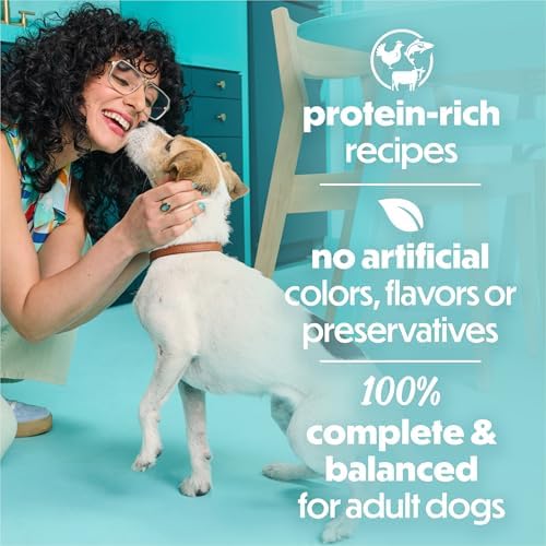 Purina Beneful IncrediBites Wet Dog Food Variety Pack, (2x12) 3 oz