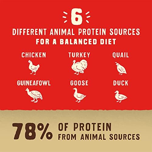 Stella & Chewy's Wild Red Dry Dog Food Raw Coated High Protein Wholesome Grains Prairie Recipe, 3.5 lb. Bag (Pack of 2)