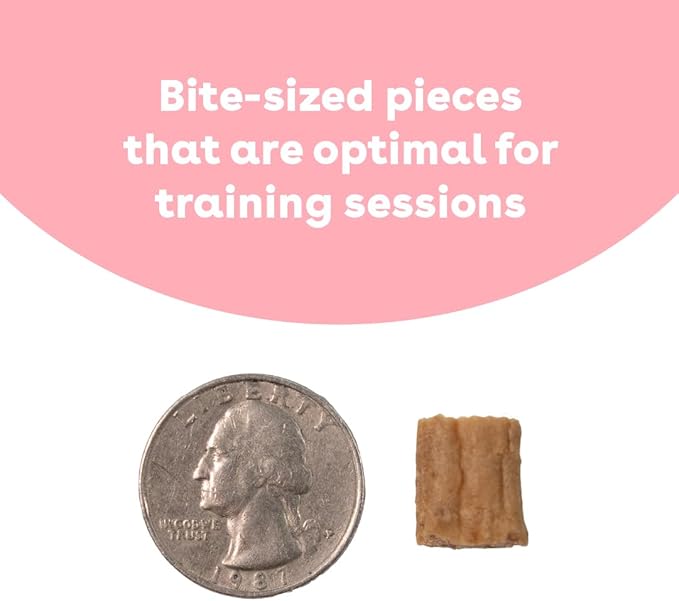 Pupford Soft & Chewy Training Treats for Dogs & Puppies (Chicken, 10 oz)