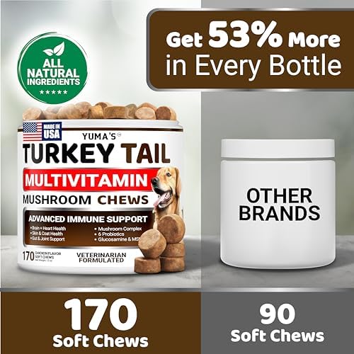 (2 Pack) Turkey Tail Mushroom for Dogs - 340 Ct - Mushroom Chews for Dogs