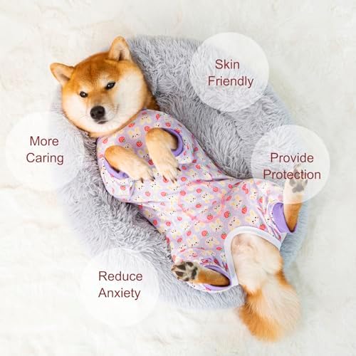 Dog Recovery Suit for Small Medium Large Dogs, Pet Onesie After Surgery Comfort Dog Bodysuit Anti Licking (Purple Bunny,XL)