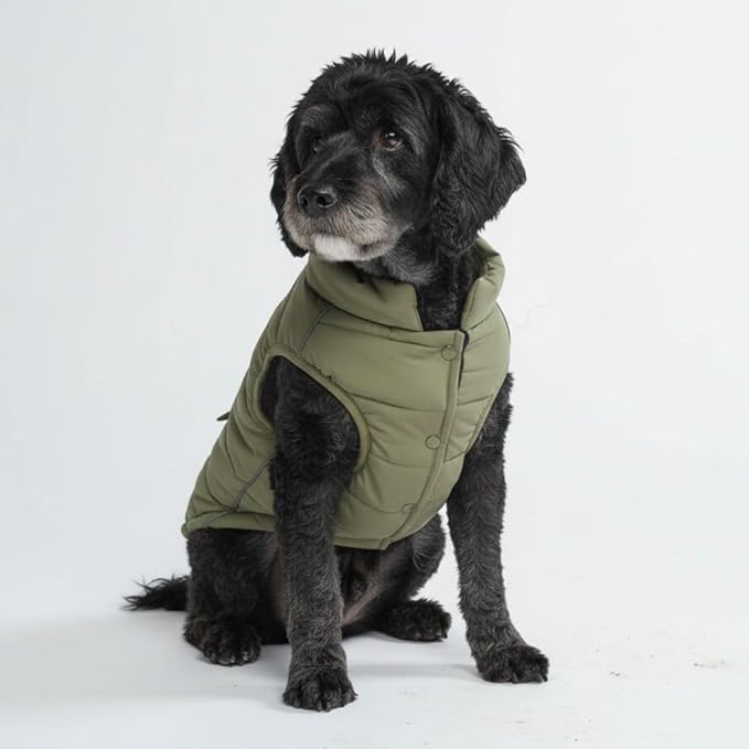 Spark Paws Dog Winter Jacket, Water-Resistant Coat, Warm Reflective Windproof Fleece-Interior, for Medium and Large Dogs - Olive - L