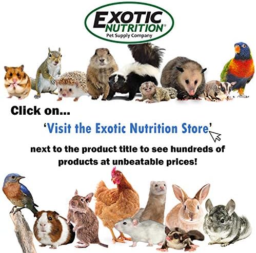 Doors & Drawers - Durable Interactive Treat Forage Box Cage Accessory Toy - for Sugar Gliders, Rats, Chinchillas, Ferrets, Parrots, Hamsters, Squirrels, Hedgehogs, Guinea Pigs & Other Small Pets