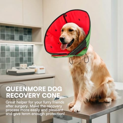 Queenmore Soft Cone for Dogs, Dog Cones for Large Dogs to Stop Licking, Dog Soft Cone, Elizabethan Collar for Pets, Alternative Pet Recovery Collar for Wound Healing, Watermelon L