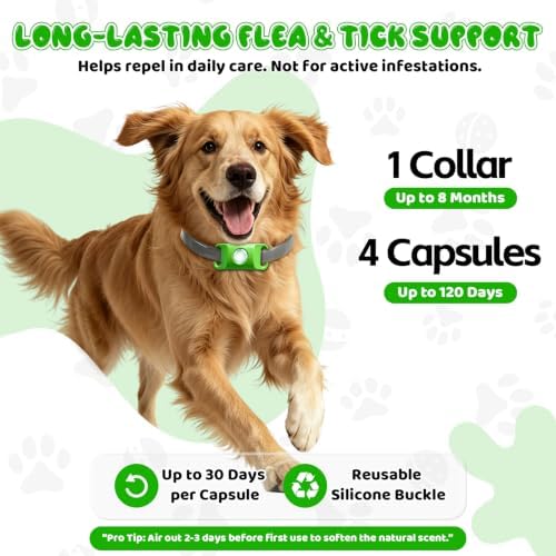 Natural Flea and Tick Collar Kit for Dogs, 1 Collar with Silicone Buckle and 4 Capsules, Water-Resistant Dog Flea & Tick Collar for Small Medium Large Dogs