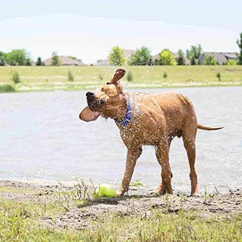 dogIDs Personalized Dog Collar – ScruffTag Custom Waterproof Biothane Dog Collar with Laser-Engraved Name, Durable & Odor-Resistant – USA Made | Lavender, 3/4 in x 14 in (Fits Neck Sizes 12-16 in)