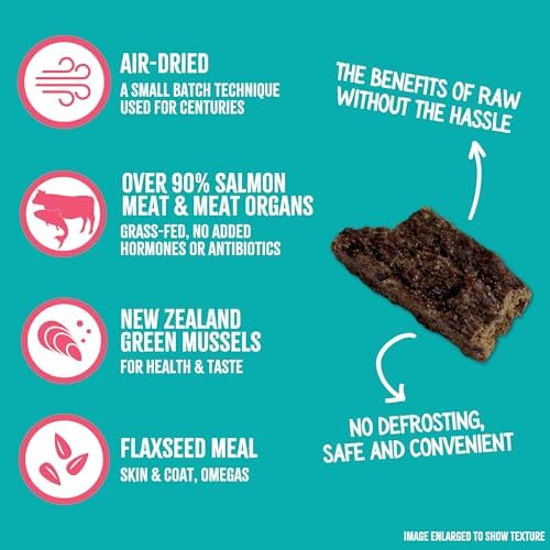 RawTernative Air-Dried Dog Food, Salmon & Beef Recipe, 5 oz