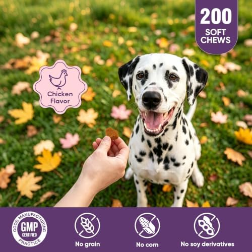 Hip and Joint Supplement for Dogs 200ct, Glucosamine Chondroitin for Dogs