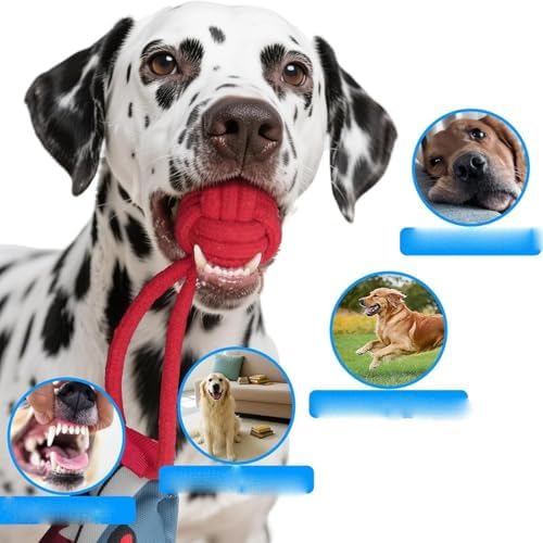 Shark Tug of War Dog Toy, 2026 New Squeaky Dog Tug Toy, Interactive Shark DogToys, Sharks Dog Tug Toy with Squeaker & Rope Knot, for Medium to Large Dogs (Shark)