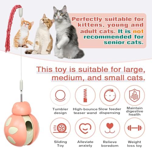 Cat Interactive Toys, Pink