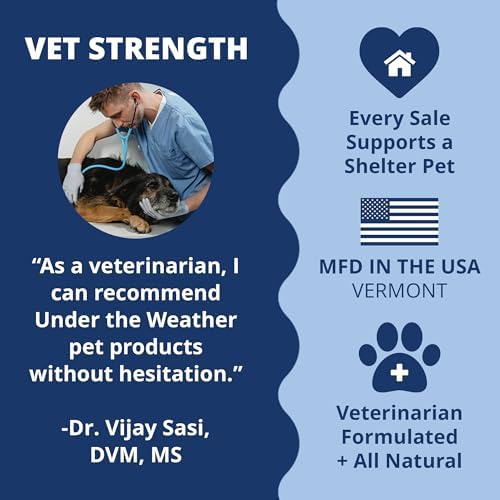 Under The Weather Pet Disc & Spine Health Chews for Dogs | Vet Formulated Dog Chews Spinal Disc Support Supplement | Ideal for Pugs French Bulldogs Dachshunds & Long-Backed Breeds with IVDD | 60 Count