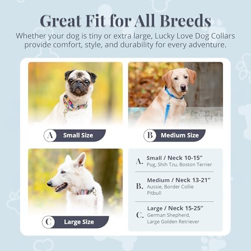 Lucky Love Dog Martingale Collar & Leash Set Cute – Nacho Color and, Small