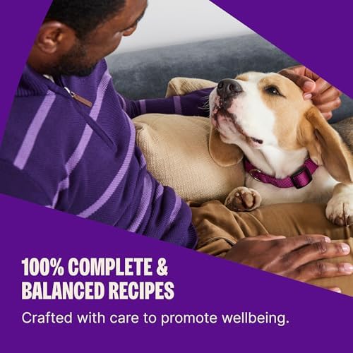 Wellness Complete Health Age Advantage Senior Dry Dog Food, Wholesome Grain Kibble, Natural, Chicken and Barley Recipe, 5 lb Bag