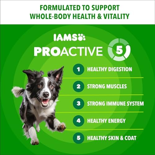IAMS Proactive Health Adult Minichunks Dry Dog Food, Beef & Rice, 5 lb